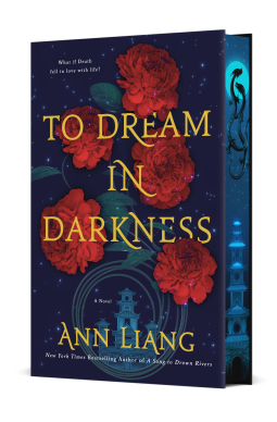 Dream in Darkness by Ann Liang | Book Review